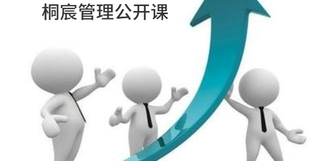 山東桐宸管理咨詢(xún) 企業(yè)高效發(fā)展的專(zhuān)業(yè)伙伴